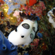 Illustration for article titled Striking Photographs Of Sea Slugs Expose The Alien World Under the Sea